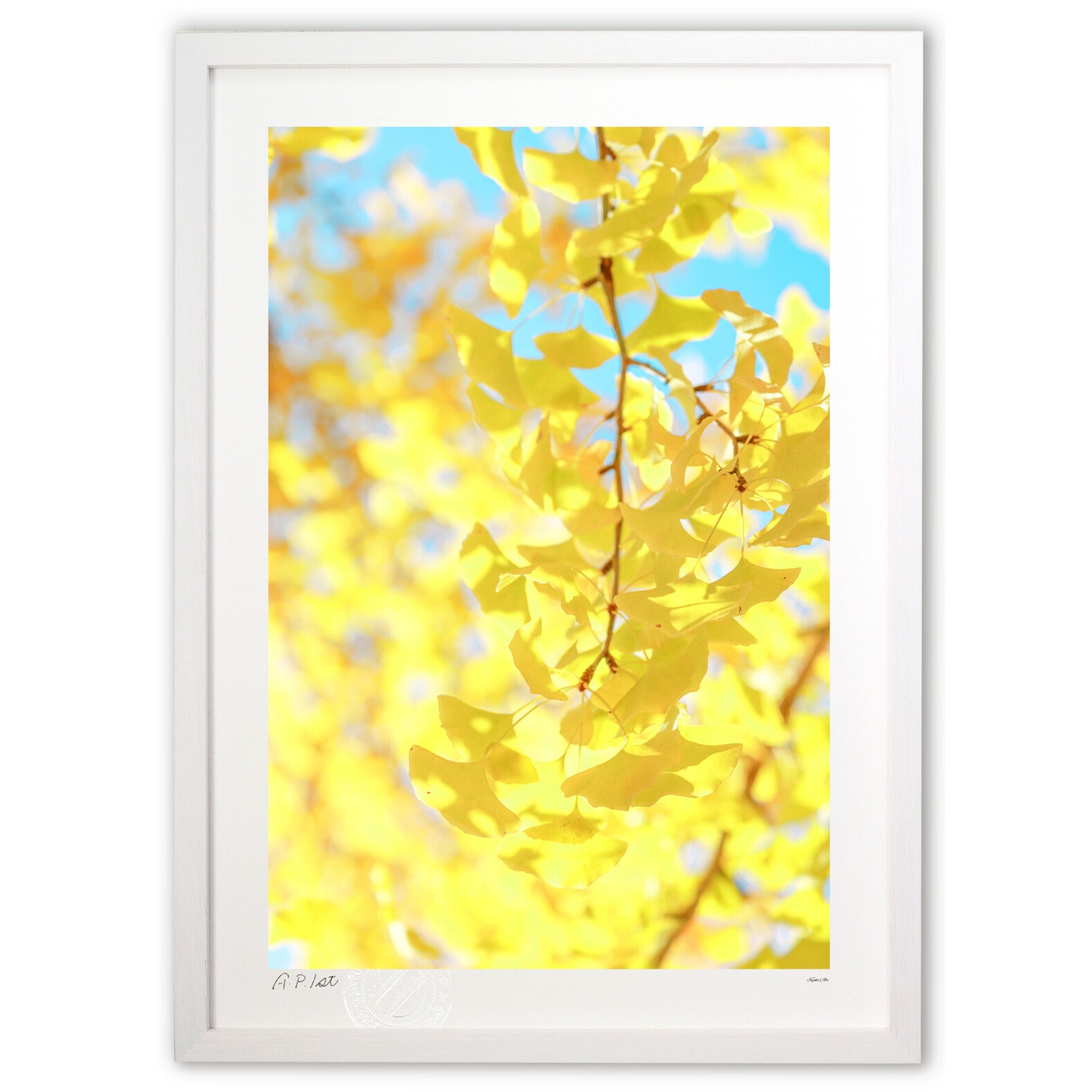 風水 延命長寿運・生命力運・回復運・健康運UP！のイチョウ – 絵画や壁