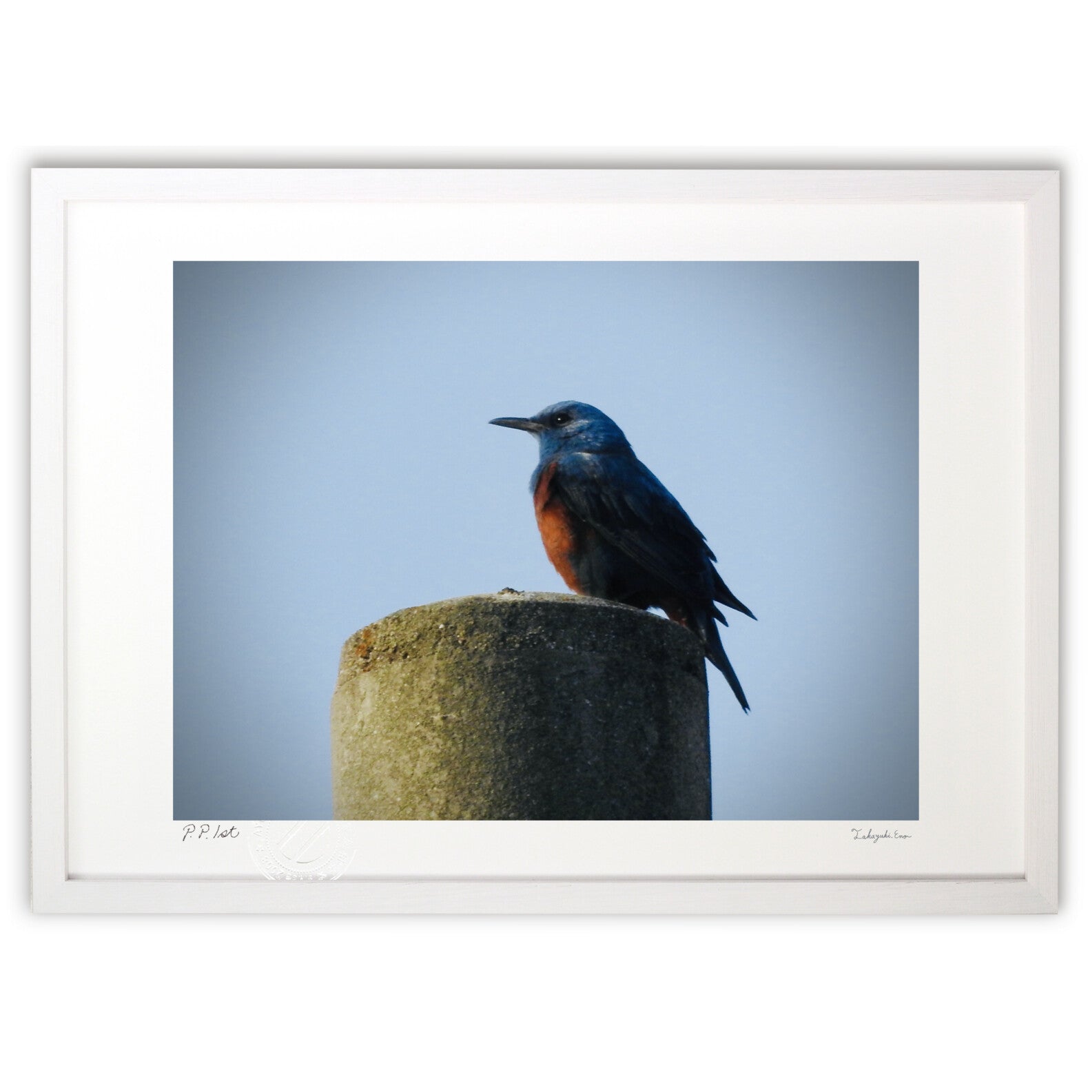幸せの青い鳥 – 絵画や壁飾り販売｜風景投稿販売あゆわら(R)