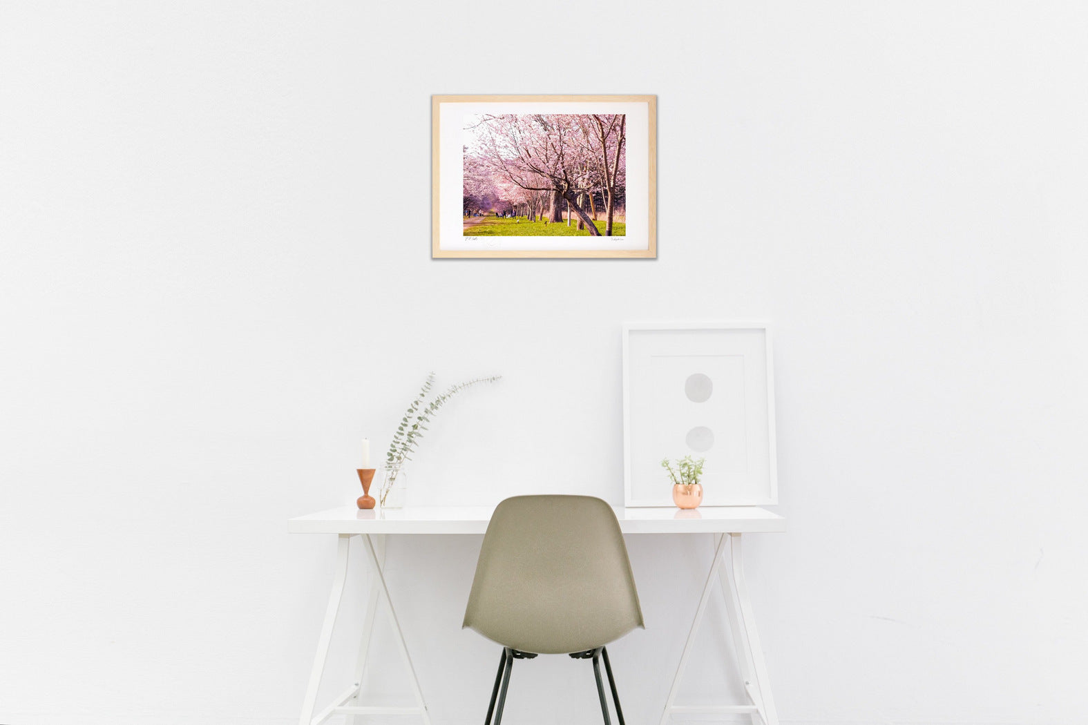 桜並木 – 絵画や壁飾り販売｜風景投稿販売あゆわら(R)