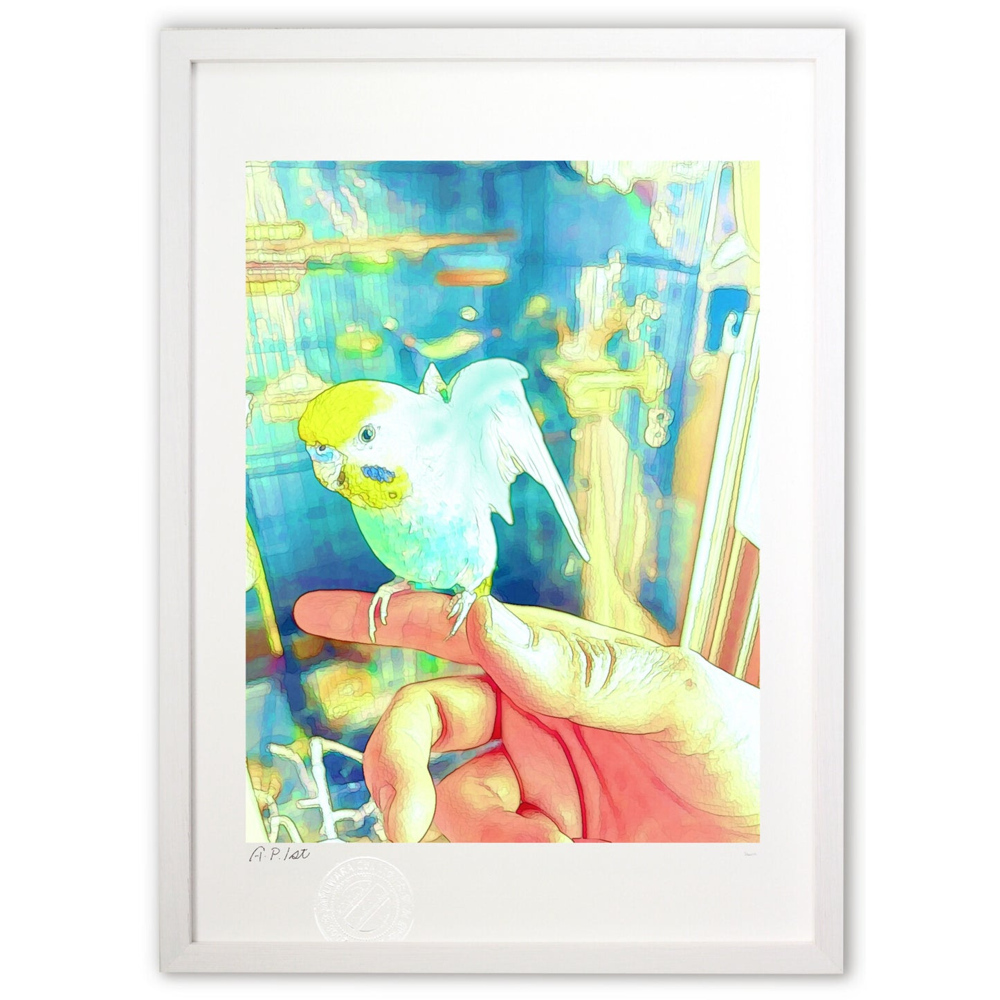 Image