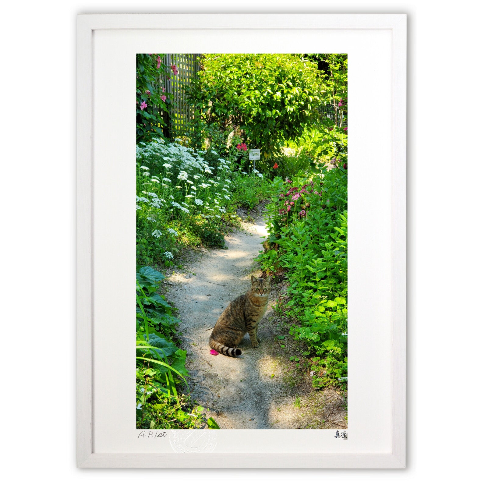 写真 猫の小道 – 絵画や壁飾り販売｜風景投稿販売あゆわら(R)