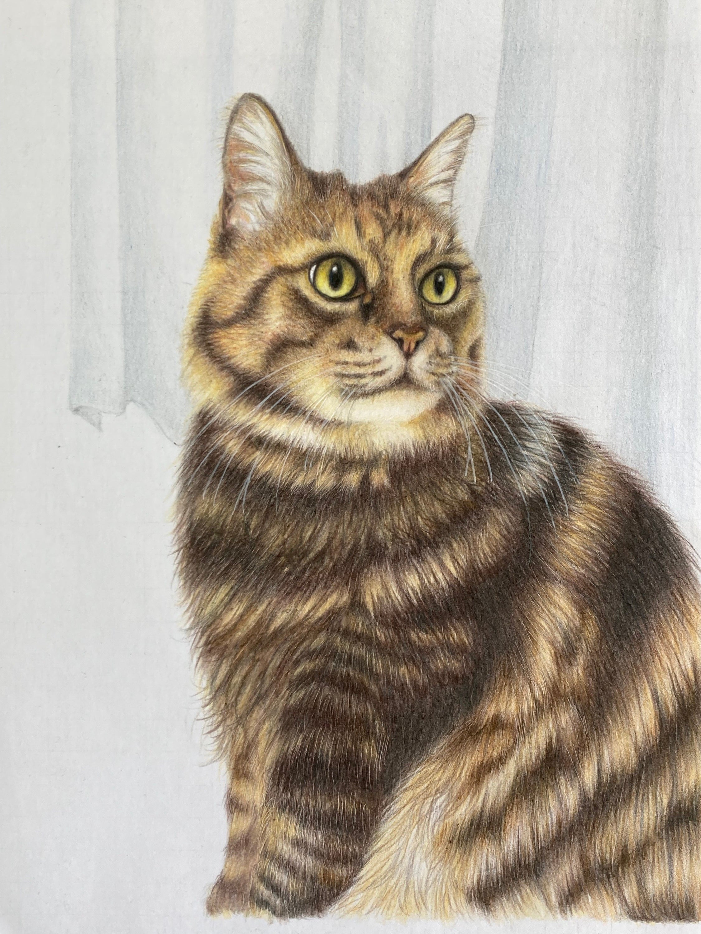 色鉛筆画 猫 – 絵画や壁飾り販売｜風景投稿販売あゆわら(R)