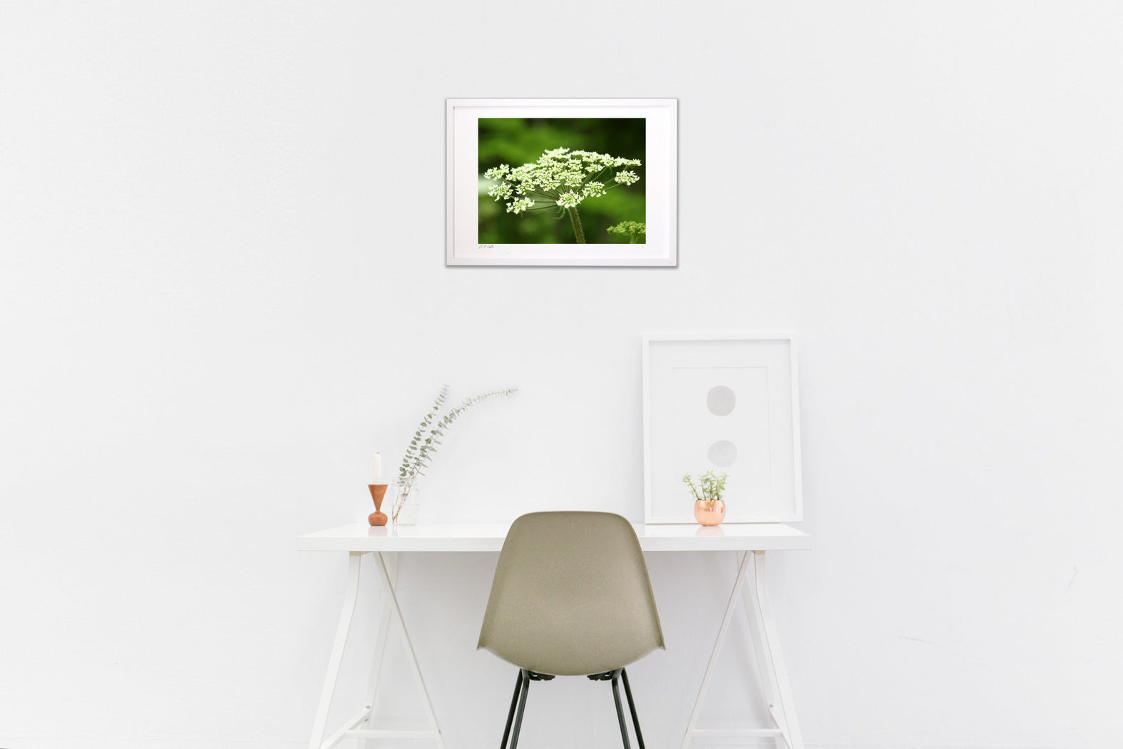 清らかさ、森の奥に咲く白い花 – 絵画や壁飾り販売｜風景投稿販売あゆ