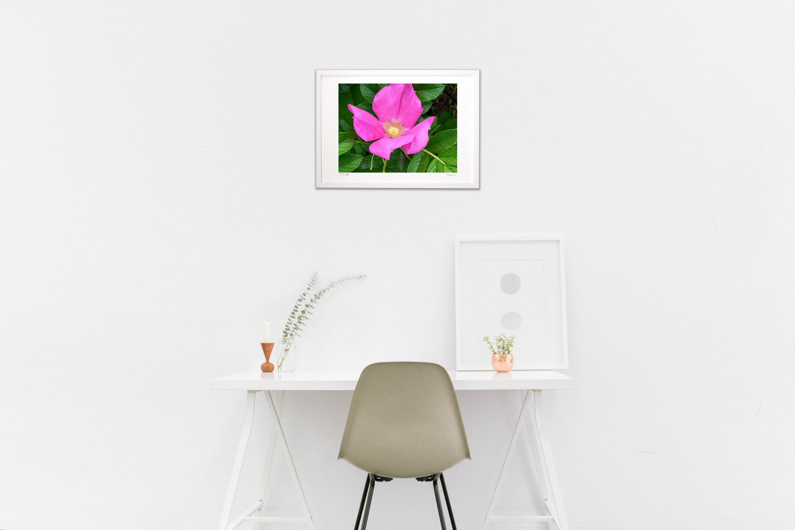 ハマナス – 絵画や壁飾り販売｜風景投稿販売あゆわら(R)