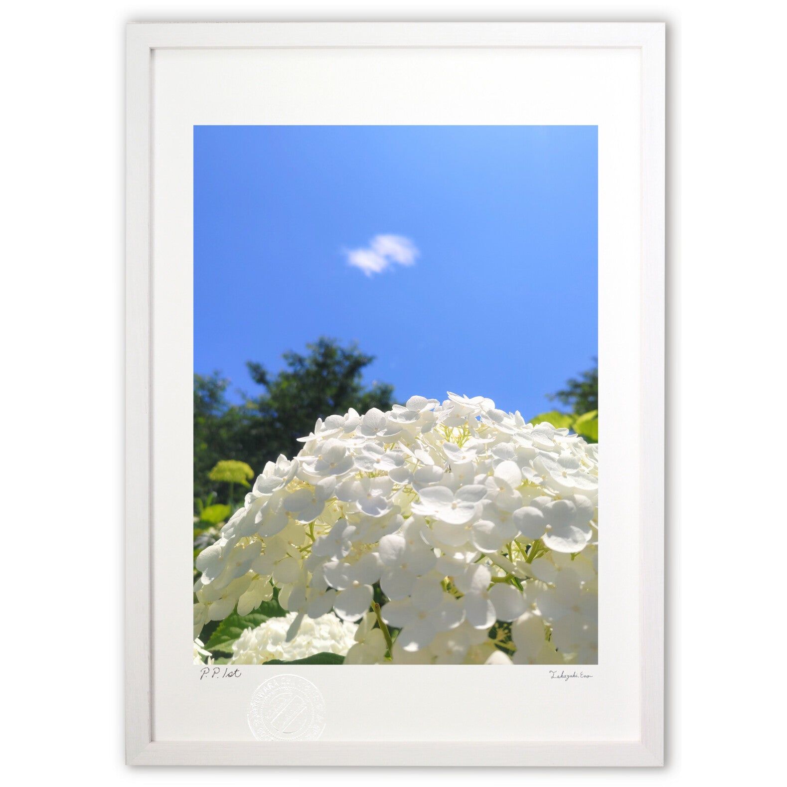 青空と白 – 絵画や壁飾り販売｜風景投稿販売あゆわら(R)