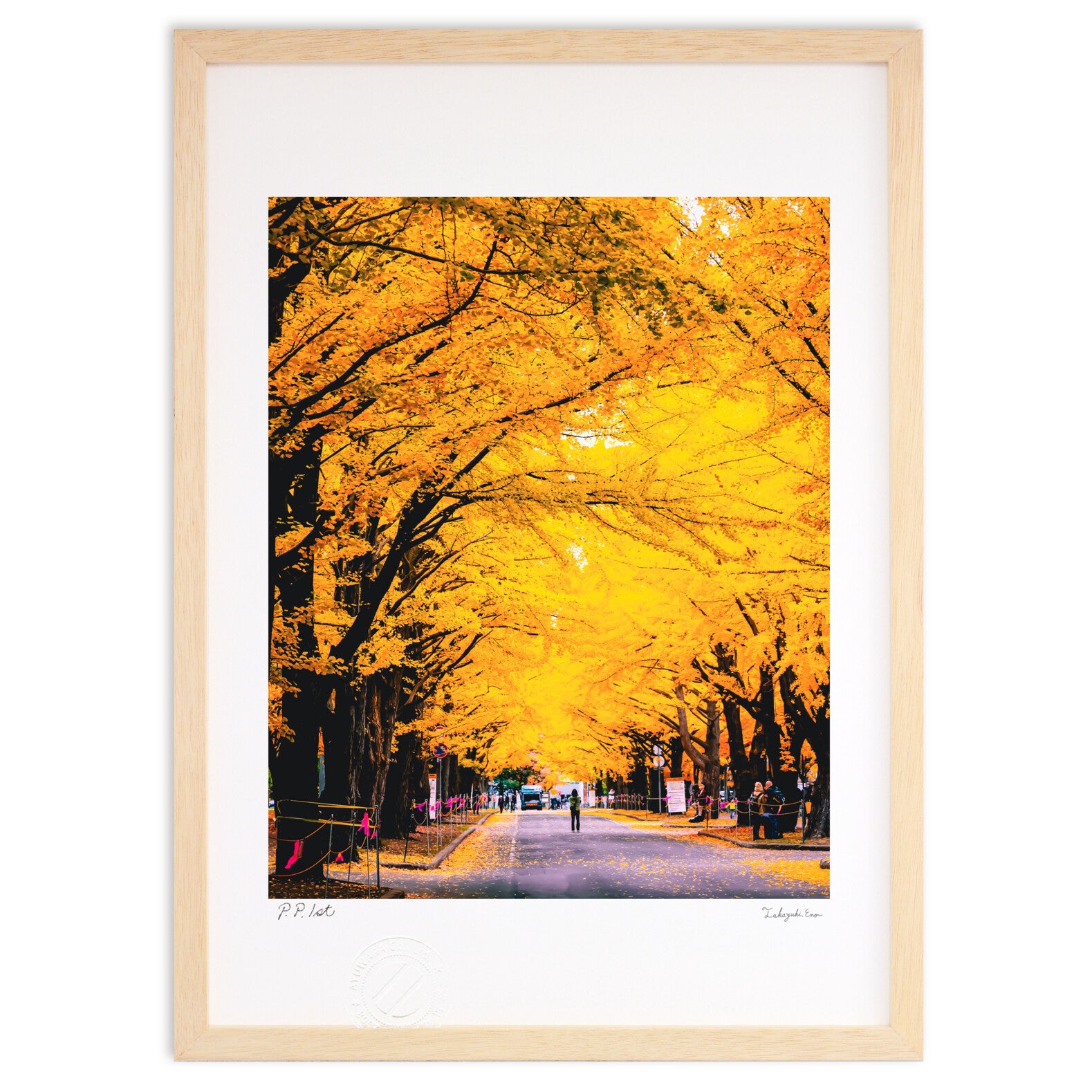 北大イチョウ並木 – 絵画や壁飾り販売｜風景投稿販売あゆわら(R)