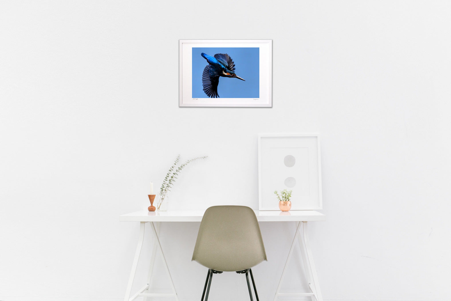 カワセミ – 絵画や壁飾り販売｜風景投稿販売あゆわら(R)