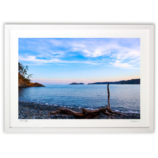 気仙沼大島の海