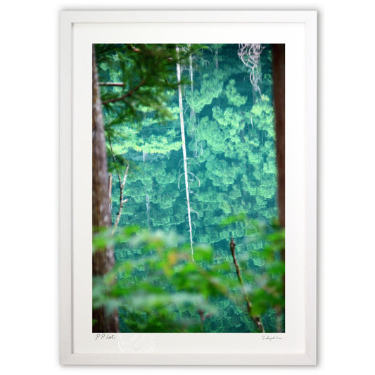 湖面の中の世界