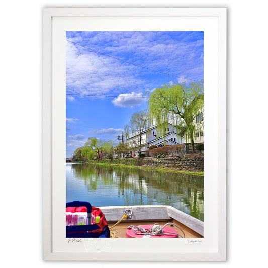 どんこ舟からの風景