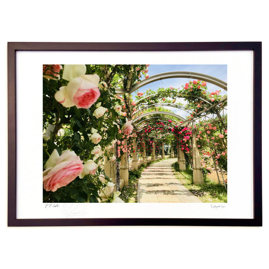 薔薇のトンネル