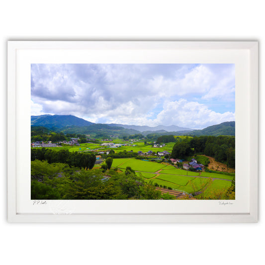 自然豊かな風景