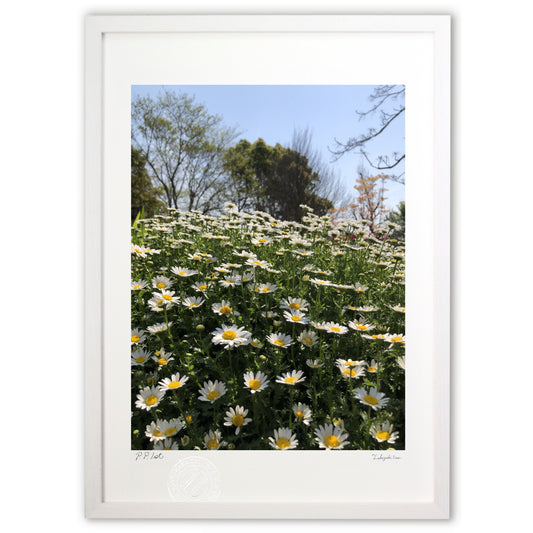 おひさまを浴びて