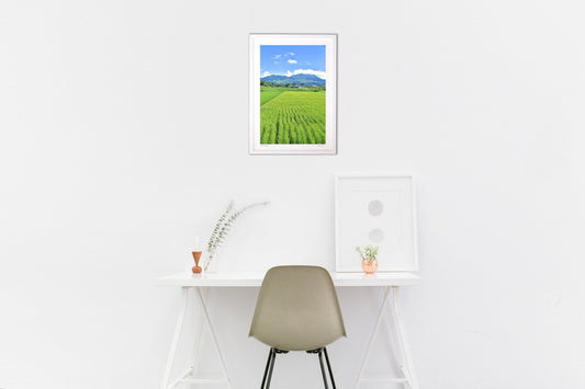 南阿蘇村の田園風景