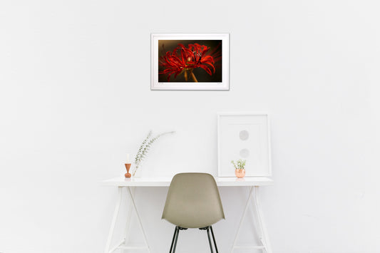 Lycoris petals installation