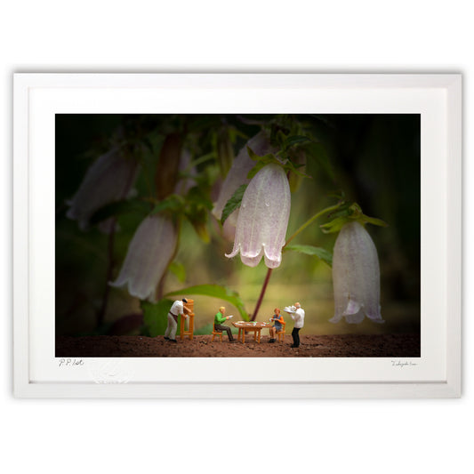 レストラン　ホタルブクロ