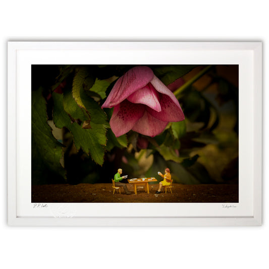 おしゃれなランプ