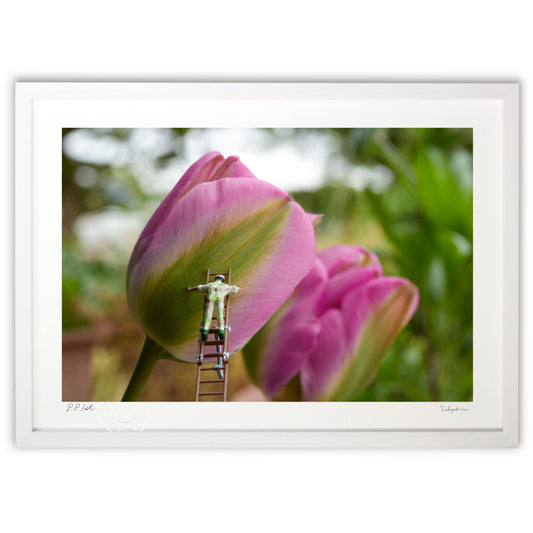 チューリップ塗りの人