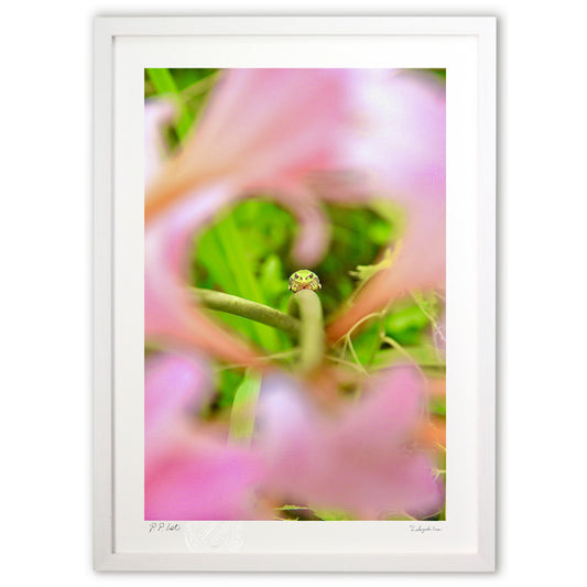 お花の中からこんにちは