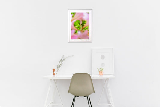 お花の中からこんにちは