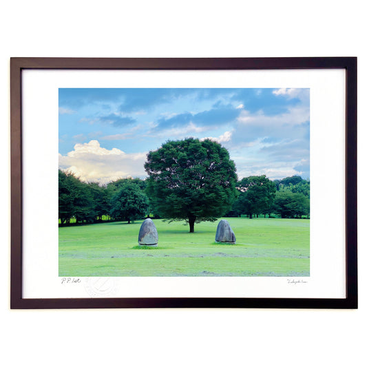 このー木なんの木