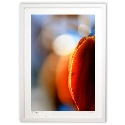 美味しい色…干し柿