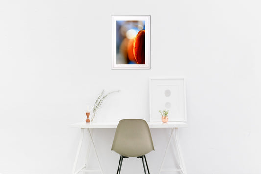 美味しい色…干し柿