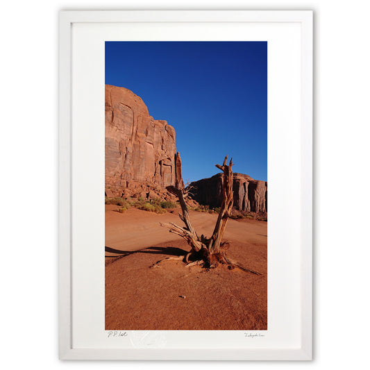 モニュメントバレー