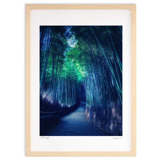 京都嵐山　竹林の小径