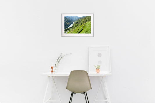 秘境の茶畑　中居侍