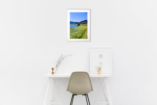 河岸の菜の花畑