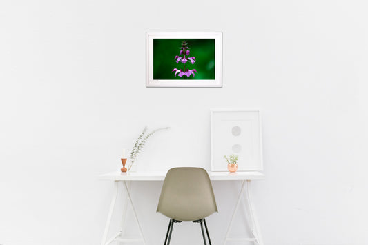 高山の美しき花