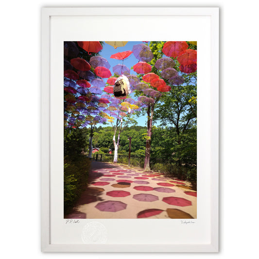 雨の日じゃ無くても