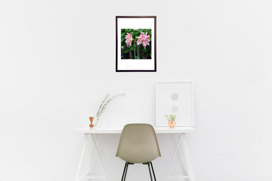 ダンシングクイーン