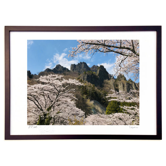妙義山と桜