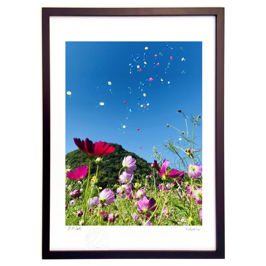 コスモスと風船