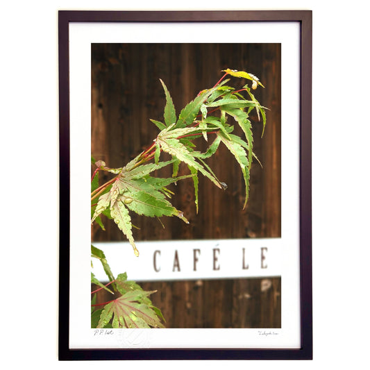 雫　-もみじ葉-