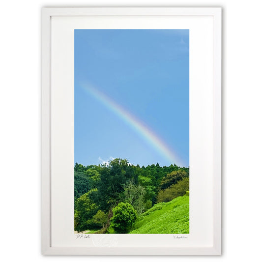 森を突き抜けるレインボー🌈