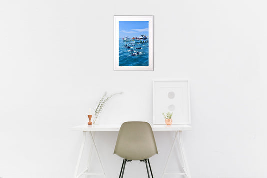 イルカ🐬ウォッチング2