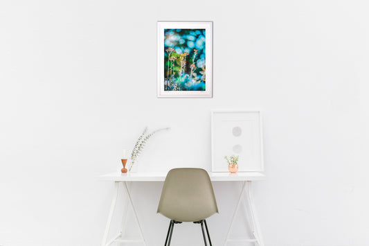 シロタエギクのきらめき