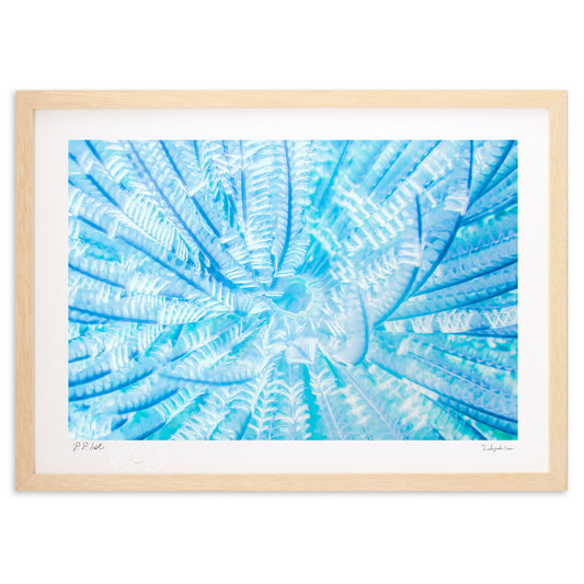 sparkle（スパークル）