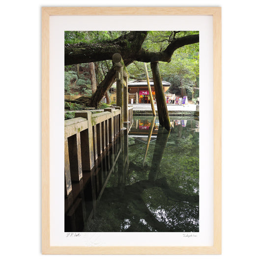 御手洗池のリフレクション