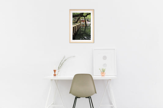 御手洗池のリフレクション