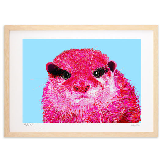 コツメカワウソ－まなざし