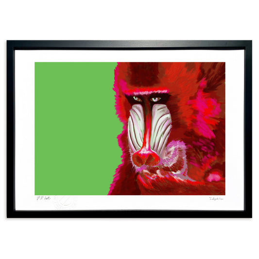 ヒヒ－見つめる