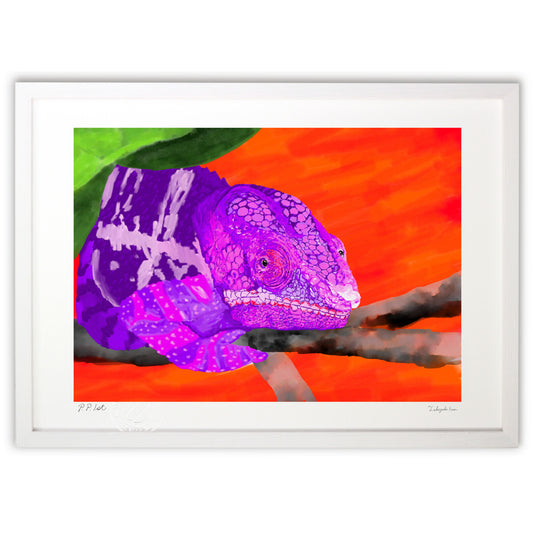 カメレオン－密かに進む