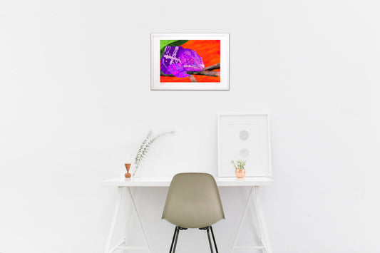 カメレオン－密かに進む