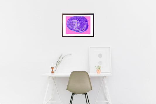 キタキツネ－眠る