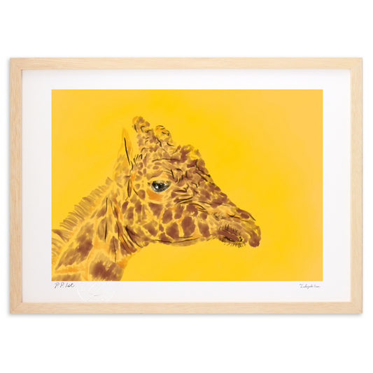 アミメキリン－首を伸ばして待っています