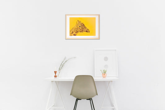 アミメキリン－首を伸ばして待っています